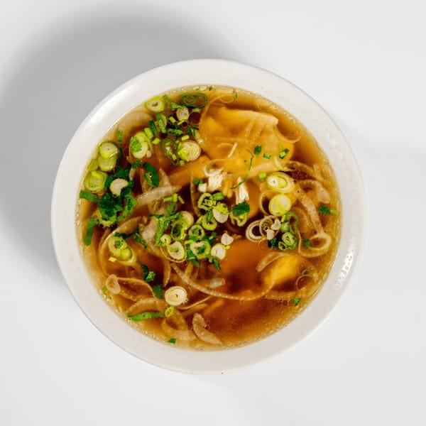 Overhead view of a bowl of pho with broth, noodles, meat, and green onions.